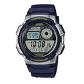 AE-1000W-2AVDF