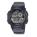 AE-1000W-8AVDF-S