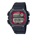 DW-291H-1BVDF-S