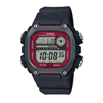 DW-291H-1BVDF-S