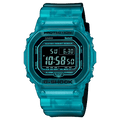 DW-B5600G-2DR-S