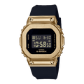 GM-S5600GB-1DR-S